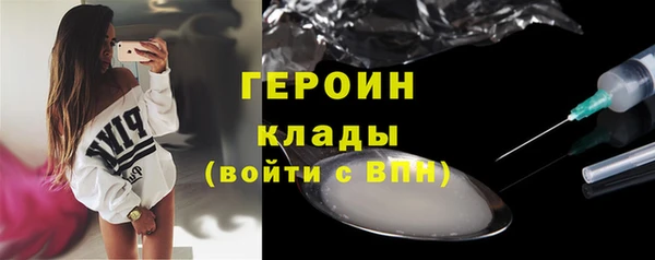 мдпв Ладушкин