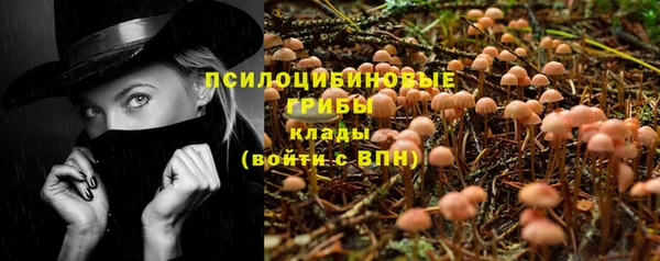 дмт Лиски