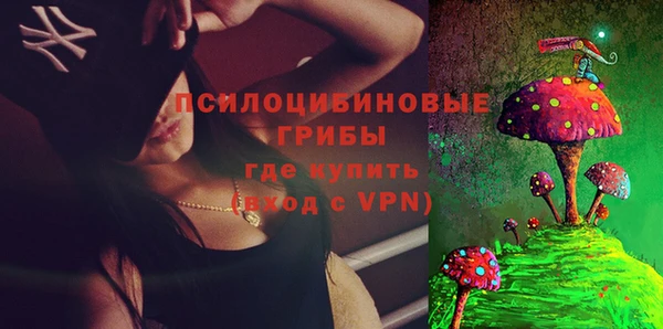 дмт Лиски