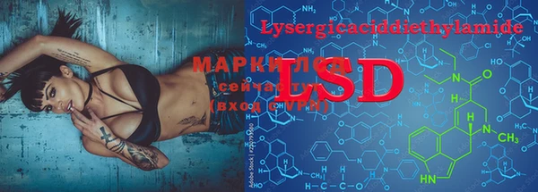 мдпв Ладушкин