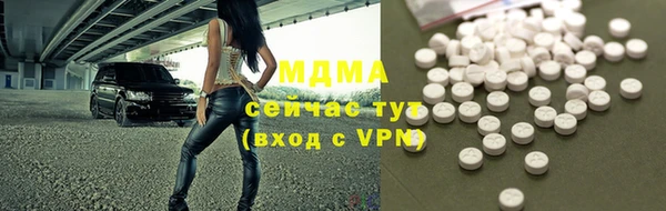 мдпв Ладушкин