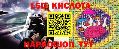 ECSTASY Гусь-Хрустальный