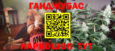 шишки Гусиноозёрск