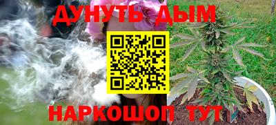 шишки Гусиноозёрск