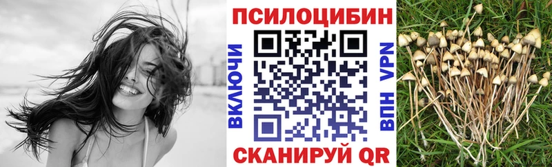 Псилоцибиновые грибы Psilocybine cubensis  где продают   Кубинка 