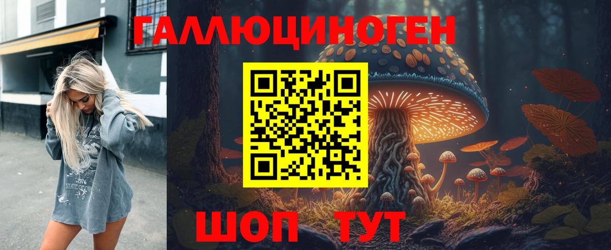 Галлюциногенные грибы GOLDEN TEACHER  Кубинка  Псилоцибиновые грибы мицелий 